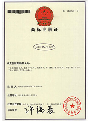 中渤拼音商标注册证
