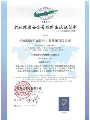 职业健康安全管理体系证书中文