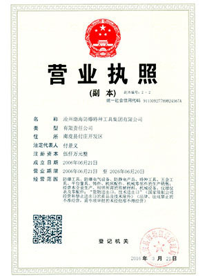 渤海防爆营业执照副本 (1)