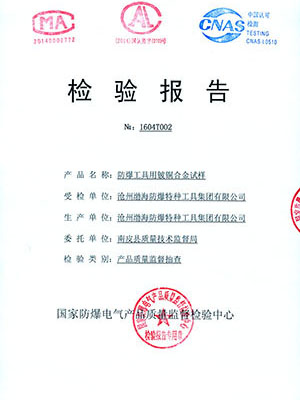 2016监督检测报告