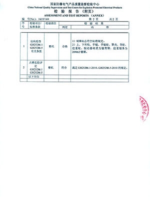 防爆手拉葫芦检测报告 (2)
