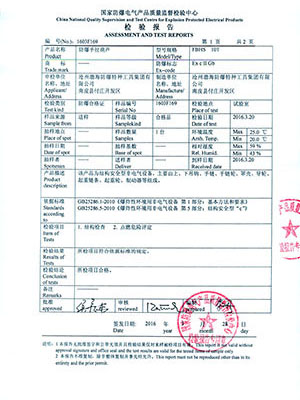 防爆手拉葫芦检测报告 (1)